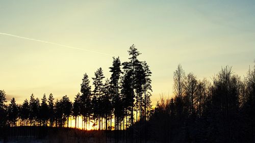 Silhouette trees against sky at sunset