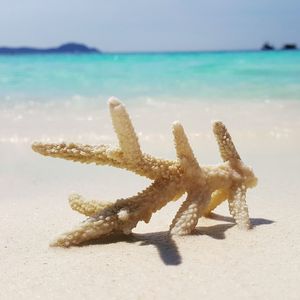 Close-up of sand on beach against sky