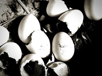 High angle view of eggs