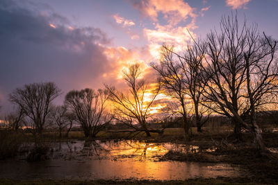 Silhouette bare trees by lake against sky during sunset