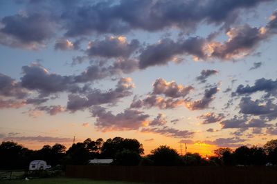 Low angle view of silhouette trees against sky during sunset