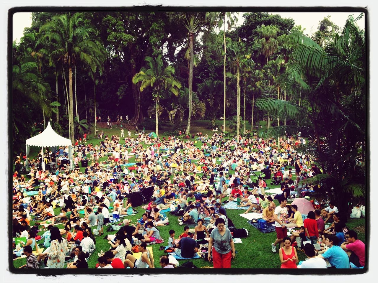 transfer print, large group of people, tree, auto post production filter, lifestyles, person, leisure activity, crowd, men, mixed age range, growth, togetherness, outdoors, park - man made space, enjoyment, high angle view, day, flower, green color