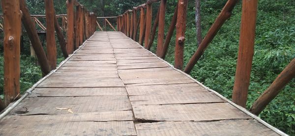 View of footbridge in forest