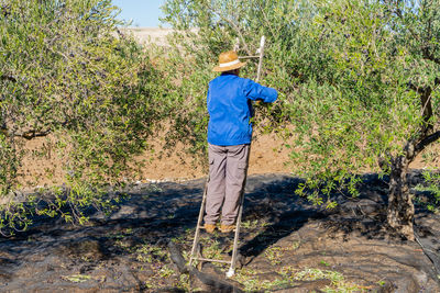 Rear view of man standing in forest