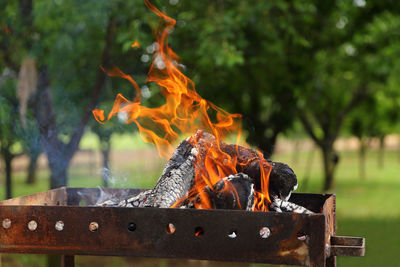 Close-up of bonfire on wooden log