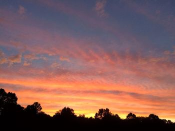 Silhouette trees against sky at sunset