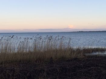 Scenic view of sea against clear sky