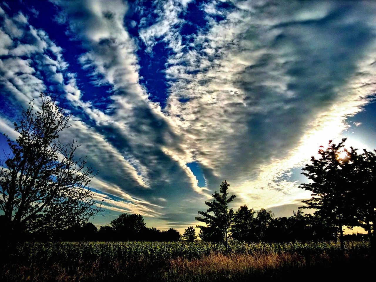 sky, cloud - sky, field, tranquil scene, tranquility, landscape, cloudy, beauty in nature, scenics, cloud, tree, nature, blue, growth, rural scene, grass, silhouette, dramatic sky, idyllic, plant