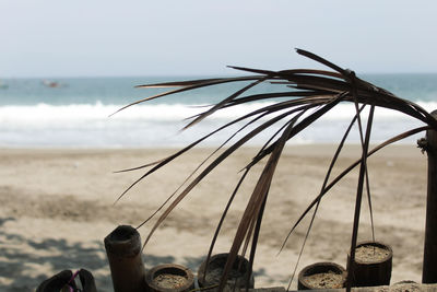 Close-up of person on beach against sky