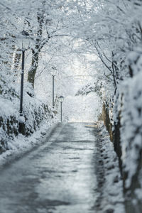 Snow covered landscape