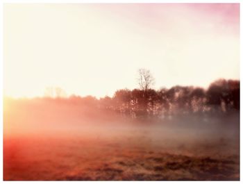 Scenic view of landscape during foggy weather