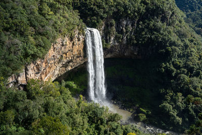 Scenic view of waterfall in forest