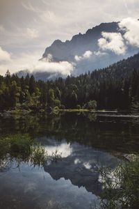 Scenic view of lake by trees against sky