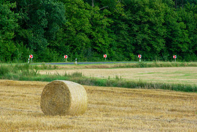 Hay bales on field against trees