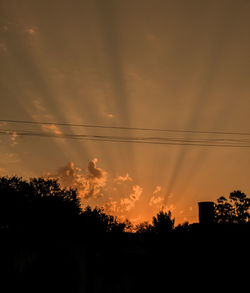 Low angle view of silhouette trees against orange sky