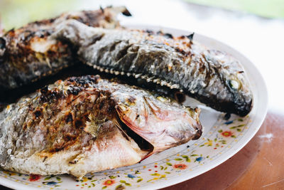 Close-up of fish in plate on table