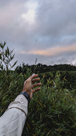 Low angle view of man holding plant