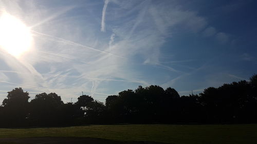 Trees on field against sky