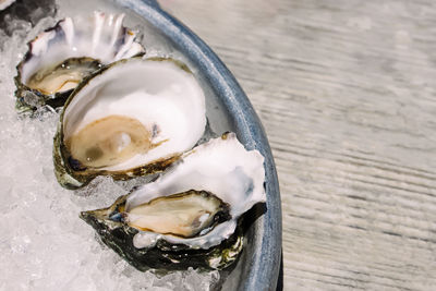 oyster