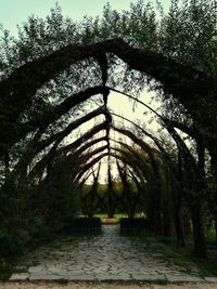 Trees in park against sky