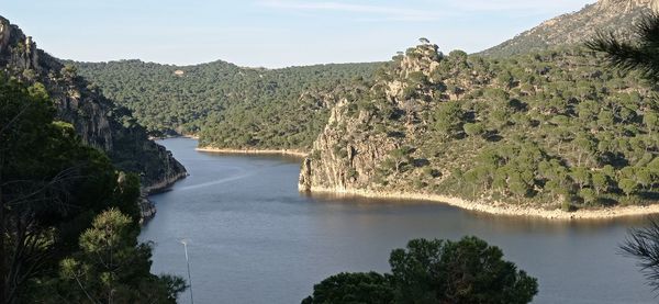 Scenic view of river amidst trees against sky