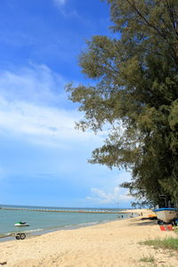 Scenic view of beach against sky