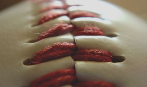 Close-up of dessert in plate