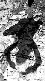 Low section of man with shadow on cobblestone