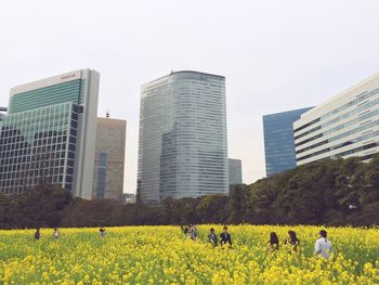 View of a field with buildings in background