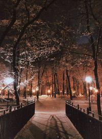 Illuminated street lights in park at night