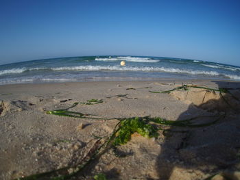 Scenic view of beach against clear blue sky