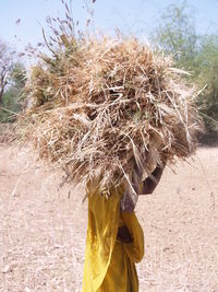 Woman carrying hay on field