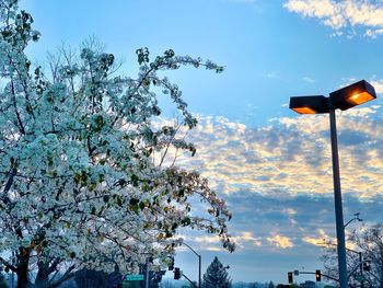 Low angle view of street light against cloudy sky