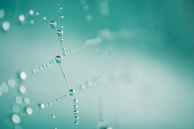 Raindrops on the spider web in rainy days, blue background