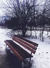 bench