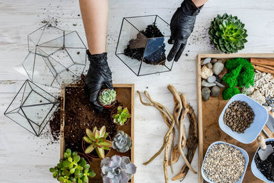 Low section of person standing by potted plants on table