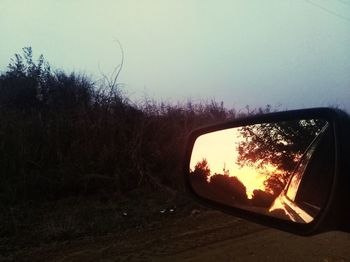 Reflection of trees on side-view mirror