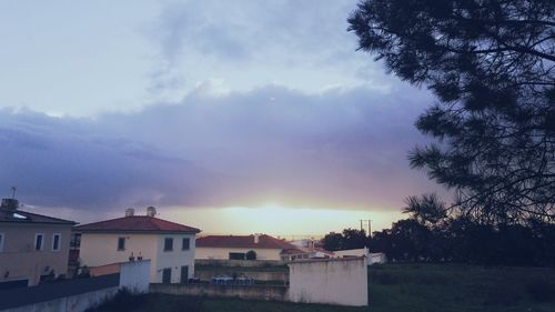 Scenic view of tree against sky during sunset