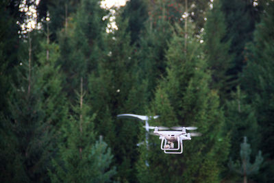 Information sign in a forest