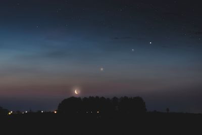 Silhouette trees against sky at night