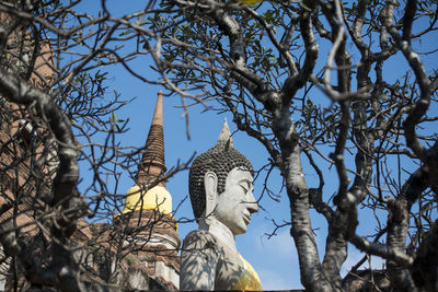 Low angle view of buddha statue and bare trees at temple against sky