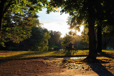 Trees on landscape against sky