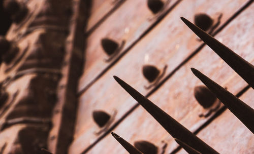 Full frame shot of wood