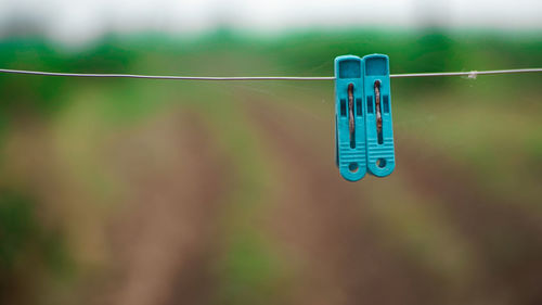 Close-up of clothespins hanging on rope