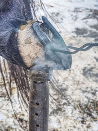 High angle view of chain hanging on pole in winter