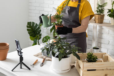 Potted plant on table