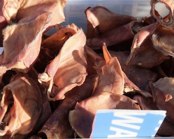 Close-up of meat
