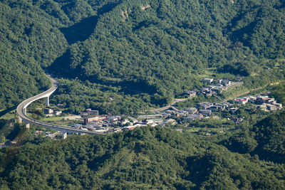 High angle view of trees and plants