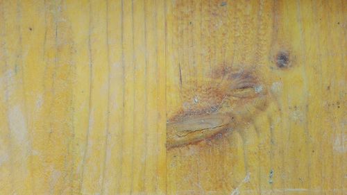 Full frame shot of yellow wood