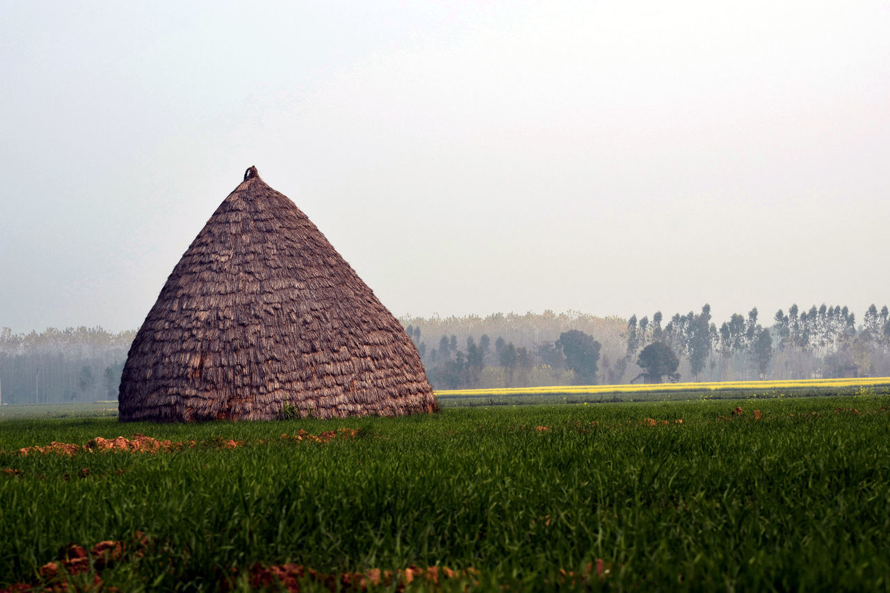 SCENIC VIEW OF FARM AGAINST SKY